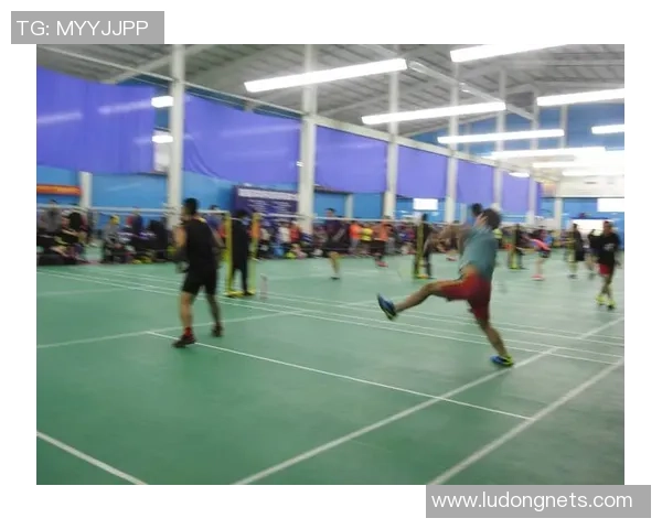 赛后分析:北京羽毛球队与上海羽毛球队的技术对抗与战术解析