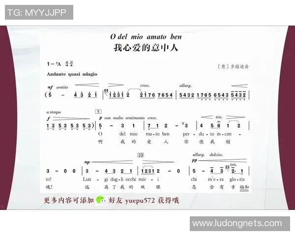 足球明星们最爱的动听歌曲推荐让你感受激情与梦想的旋律