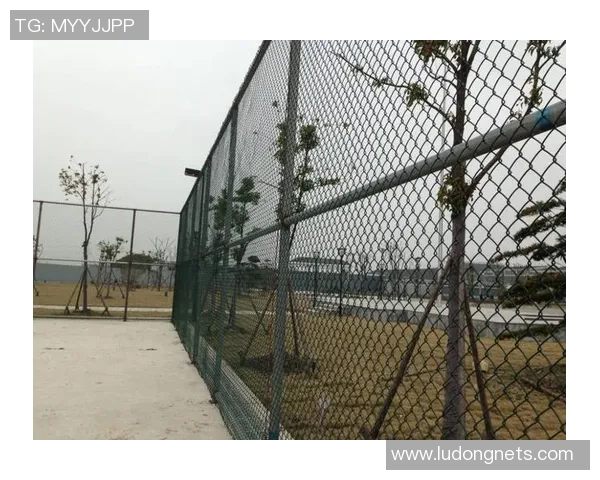 专业解读：北京网球队的包夹打法